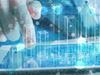 Visualizza i dettagli per Percorso professionalizzante Diventa Data Scientist Immagine di Percorso professionalizzante Diventa Data Scientist