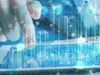 Visualizza i dettagli per Percorso professionalizzante Diventa Data Scientist Immagine di Percorso professionalizzante Diventa Data Scientist