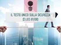 Immagine di Il Testo unico sulla sicurezza (dlgs 81/08)