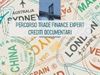 Visualizza i dettagli per Crediti documentari Immagine di Crediti documentari