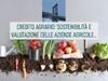 Visualizza i dettagli per Credito agrario: sostenibilità e valutazione delle aziende agricole e agroalimentari Immagine di Credito agrario: sostenibilità e valutazione delle aziende agricole e agroalimentari