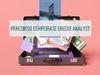 Visualizza i dettagli per Percorso Corporate Credit Analyst Immagine di Percorso Corporate Credit Analyst