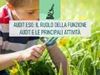 Visualizza i dettagli per Audit ESG: il ruolo della funzione Audit e le principali attività Immagine di Audit ESG: il ruolo della funzione Audit e le principali attività