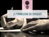 Immagine di La formazione dei Dirigenti