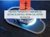 Visualizza i dettagli per I fondamenti del sistema dei controlli interni e del sistema informativo Immagine di I fondamenti del sistema dei controlli interni e del sistema informativo