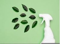 Immagine di Greenwashing nella financial industry 