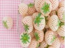 Immagine di Prodotti strutturati