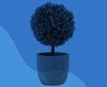 Immagine di Percorso HR & IA: comprendere, applicare e diffondere l’IA in banca 