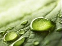 Immagine di Masterclass - La trasparenza bancaria tra evoluzione normativa e analisi di casi