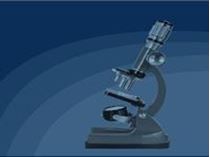 Immagine di NPL e gestione del rischio di credito: il ruolo strategico dei controlli di terzo livello 