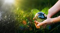 Immagine di Il climate change risk e il suo impatto sull’industria finanziaria