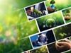 Immagine di Masterclass  ESG Expert 