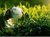 Immagine di Green bond, regolamentazione ed evoluzione del mercato